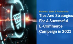 Tips And Strategies For A Successful E-Commerce Campaign in 2023