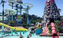 Dive into Fun: Exploring the Largest Water Park in California