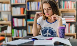 Who Can Avail of Assignment Help for Coursework Writing?