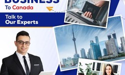 Canada work visa for indian | Lebiz Canada