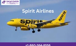 How can I speak to someone at Spirit Airlines?