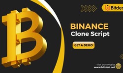 5 Common Mistakes to Avoid While Starting a Crypto Exchange Business Like Binance