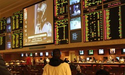 Find Your Winning Edge: The Science Behind Sports Betting Site Payouts