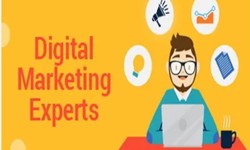 Digital Marketing Expert in Delhi