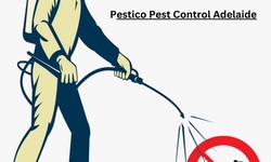Protect Your Home from Unwanted Critters with Pest Control Services