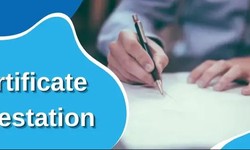Certificate attestation in India service procedure  for UAE