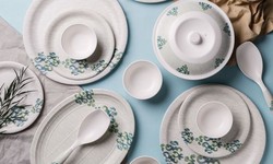 Unveiling the Extraordinary: Unique Dinner Sets That Redefine Elegance