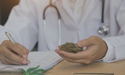 High Life Medical Marijuana Doctor: Your Trusted Choice for Marijuana Doctors in Hollywood