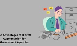 The Advantages of IT Staff Augmentation for Government Agencies