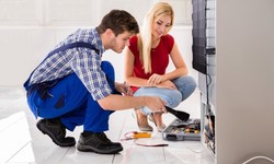 Safely Eliminating Pests: Precautions to Take Before Starting a DIY Project