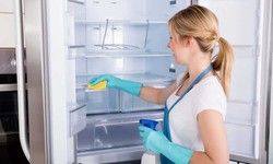 Some Ultimate Tips for your refrigerator maintenance