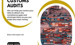 Customs consultancy- An Overview