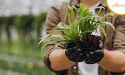 Support Sustainable Gardening With Auroveda