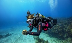 Why the UAE is a Must-Visit Destination for Scuba Divers