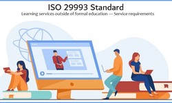 What Obstacle Did the Organization Confront During the Earliest Stages of the ISO 29993 Certification Process?