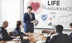 CAPITALIZING ON OPPORTUNITIES: UNLEASHING INTRINSIC VALUE IN LIFE INSURANCE AND ANNUITY COMPANIES