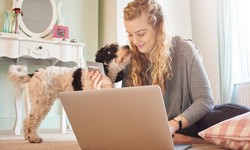 Pet Insurance Terms Explained- What Pet Owners Need to Know?