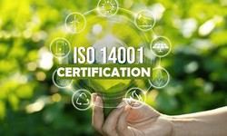 The Benefits of ISO 14001 Certification for Businesses: A Comprehensive Overview"
