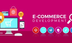 Customized Ecommerce Website Development Company in India for Your Business