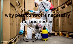 Top Reasons Why Pest Control is Vital for Businesses: Discover Them Now!