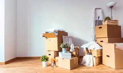 All You Need to Know About House Clearance Services