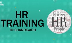 HR Training in Chandigarh