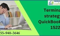 Termination strategy for QuickBooks error 15225