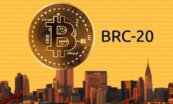 Basic Components to Remember During BRC-20 Token Development!