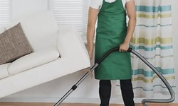The advantages of hiring professional carpet restoration services in Adelaide.