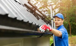 Gutter Cleaning Protecting Your Home and Preserving its Beauty