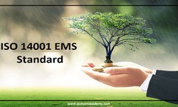 How to Ensure Your ISO 14001 Implementation is Profitable?