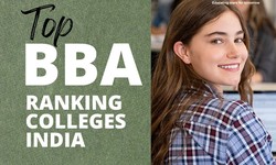 All You Should Know About the BBA Course: A Comprehensive Guide