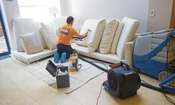 Transfer Your Sofa by Top Leather Sofa Cleaning Service in Hobart