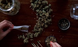 Five things to consider when choosing a dispensary as a beginner