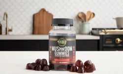 How HolisticVybez Sea Moss Gummies Can Improve Your Well-being