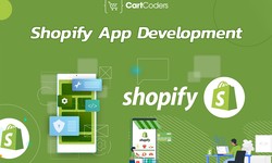Why Should You Hire a Shopify App Development Company