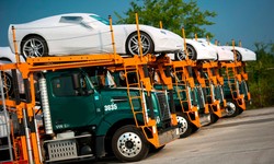 Car Carriers in South Africa