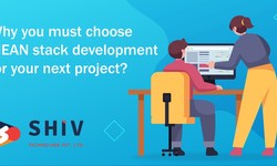 Why You Must Choose MEAN Stack Development for Your Next Project?