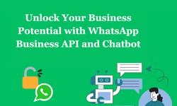 WhatsApp Business API: Choosing the Best Provider in India