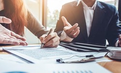 Will vs. Estate Lawyer Differences and Specialisations