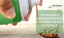The Dangers of Ignoring a Cockroach Infestation and How to Prevent It