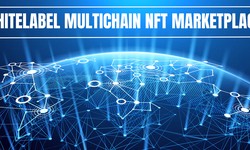 Why choose our White Label NFT Marketplace Development Service? Here's what sets us apart: