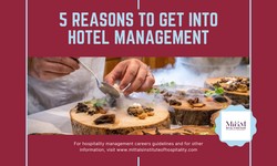 5 Reasons to Get into Hotel Management with Mittal’s Institute of Hospitality