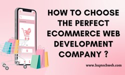 How to Choose the Perfect eCommerce Web Development Company?