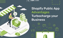 Shopify Public App Advantages: Turbocharge your Business