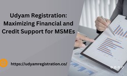 Udyam Registration: Maximizing Financial and Credit Support for MSMEs