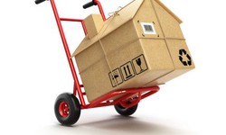 The Signs that You Need Professional Help in Moving and Shifting