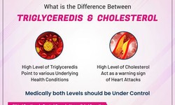 How Cholesterol Is Related With Heart Disease