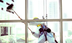 Windows to Perfection: Discover the Top Techniques and Tools for Sparkling Clean Windows in Chelsea