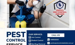 "Protect Your Haven: Unleashing the Power of Pest Control Adelaide Services"